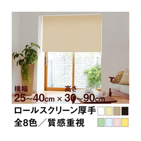 [XN[ TASTE f~[Ni̐n^莿j  25`40cm ×@30`90cm  I[_[ Ch @H