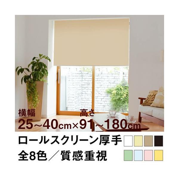 [XN[ TASTE f~[Ni̐n^莿j 25`40cm ×@91`180cm  I[_[ Ch @H