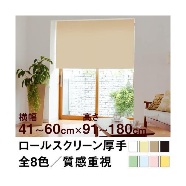 [XN[ TASTE f~[Ni̐n^莿j 41`60cm ×@91`180cm  I[_[ Ch @H