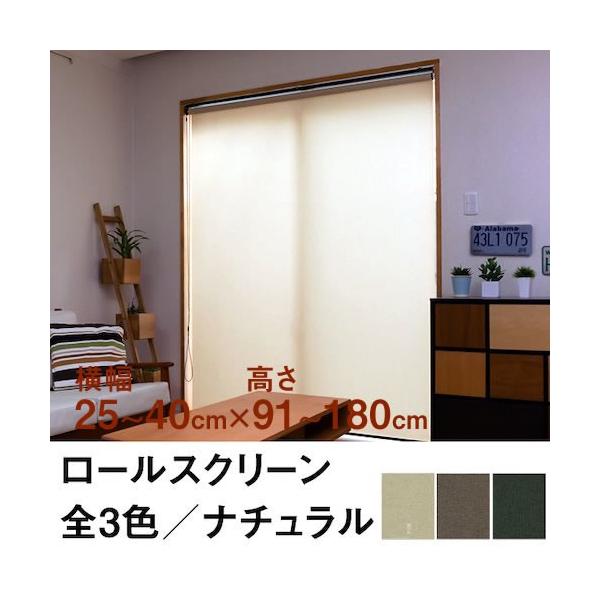 [XN[ TASTE JX~ii`^㎿̂闎j 25`40cm ×@91`180cm  I[_[ Ch @H