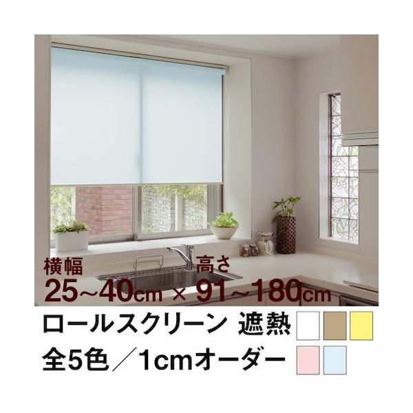 [XN[ BASIC ՔMǐ^CgȎՌj  25`40cm ×@91`180cm  I[_[ Ch @H