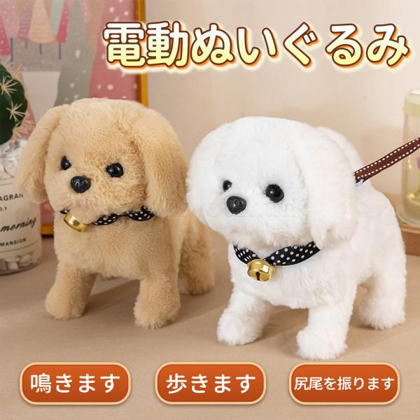 skstore30_dog2025001