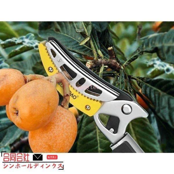 高枝切りバサミ 3m 5m伸縮式高枝切鋏 鋸付き 伸縮式 高枝鋏 高枝用 剪定鋏 剪定ばさみ 剪定バサミ SK5 高所 園芸用はさみ 太枝切鋏 枝切り 枝分け 万能はさみ