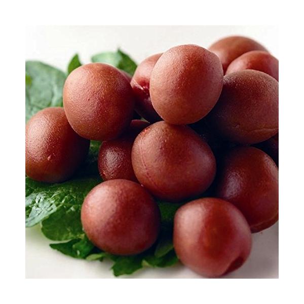 長谷川醸造 甲州小梅 カリカリ漬け