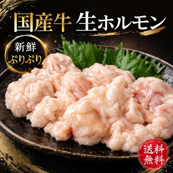 国産牛 ぷりぷり 生 ホルモン (360g×1) 国産 牛肉 ほるもん 焼き肉 焼肉 もつ鍋 もつ焼き BBQ コラーゲン もつ モツ 鍋 小腸 丸腸 マルチヨウ