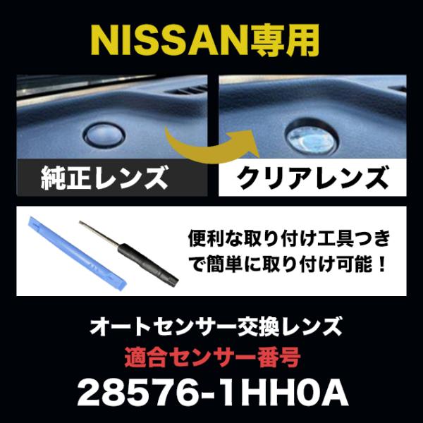 sky02_nagii001_3_d_20240911213044