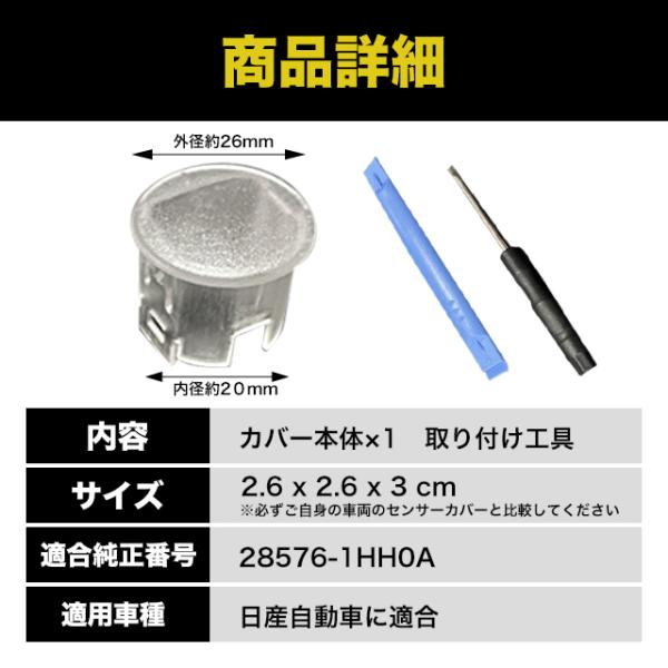 sky02_nagii001_4_d_20240911213048