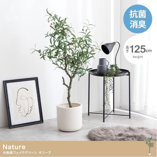 光触媒　人工観葉植物　ウォールグリーン　フェイクグリーン　オリーブ250センチ 光触媒 人工観葉植物 ウォールグリーン フェイクグリーン ウッド