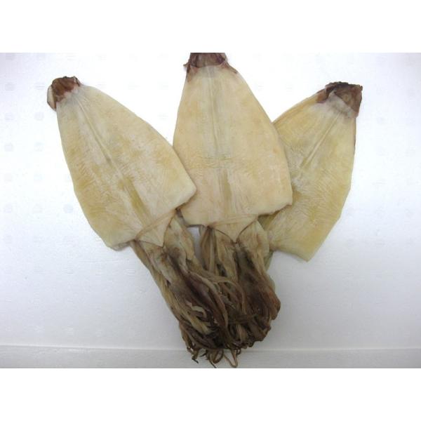 業務用 タイ産 剣先するめ 500g 日本酒にあいます スルメするめ