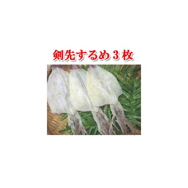 ^CY@悷 rTCY3 {ɂ܂ lR|X著