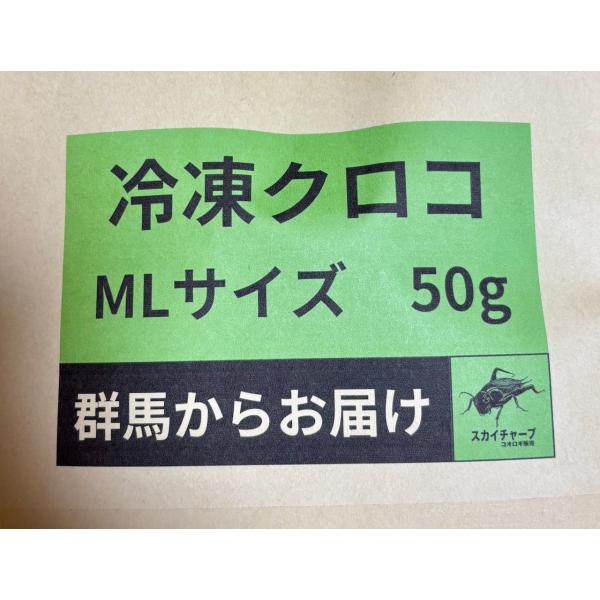 【商品内容】冷凍コオロギ・クロコML 50g※手足除去済み【特徴】ペットショップや爬虫類ブリーダーに卸売している冷凍コオロギです。とうもろこしや小麦粉などの穀物に魚粉などの動物性飼料、乾燥野菜を配合した餌を与えて育成しています。また、急速冷...
