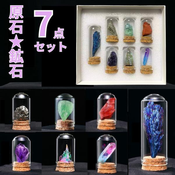 原石 岩石標本 天然石 7点セット 鉱物 鉱石 標本 化石 置物 ガラスカバー 瓶 防塵 置物 オーナメント 展示 標本ボックス コレクション 装飾品 アメジスト 人気