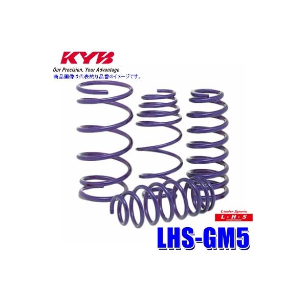 LHS GM5 KYB カヤバ ローファースポーツLHS ローダウンサスペンション