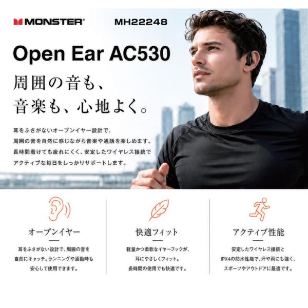 skydragon_monster-mh22248bk_1_d_20260807151431