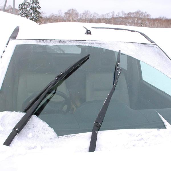 skydragon_piaaset-roomy900-fg_3_d_20231113165519