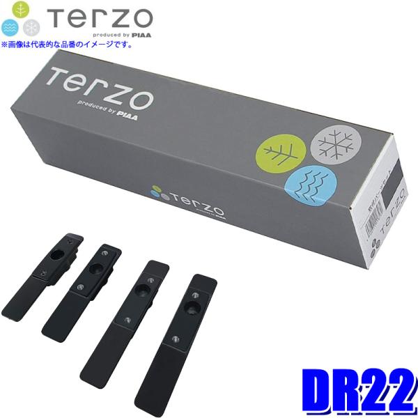 DR22 TERZO ebcI ebcH x[XLAtpz_[Zbg50nRAV4(H31.4`)