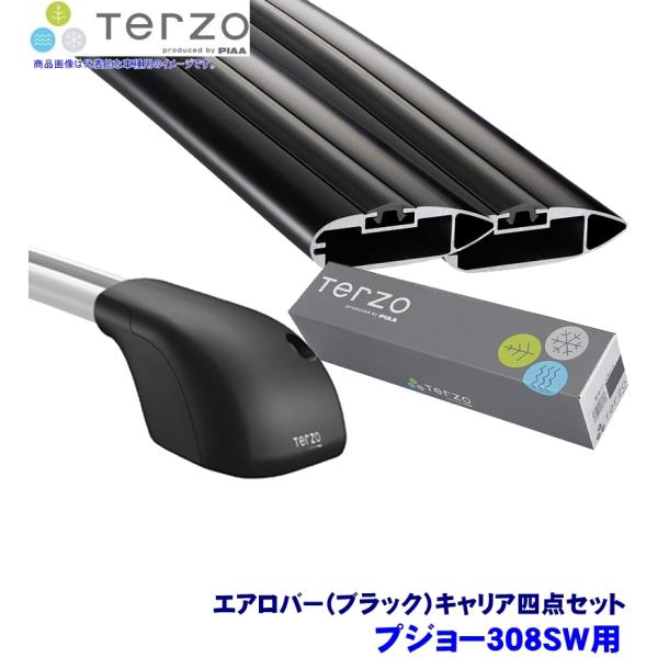 TERZO ebcI ebcH vW[308SW(H26.11`)px[XLAԗ䕪 tbg{GAo[(ubN){z_[l_Zbg
