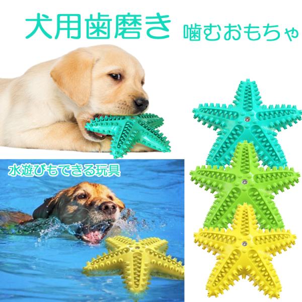 p ̂ qgf`uV  ybgpN[i[ ΂̑| uV ^^ėpf^PA DOGTB005