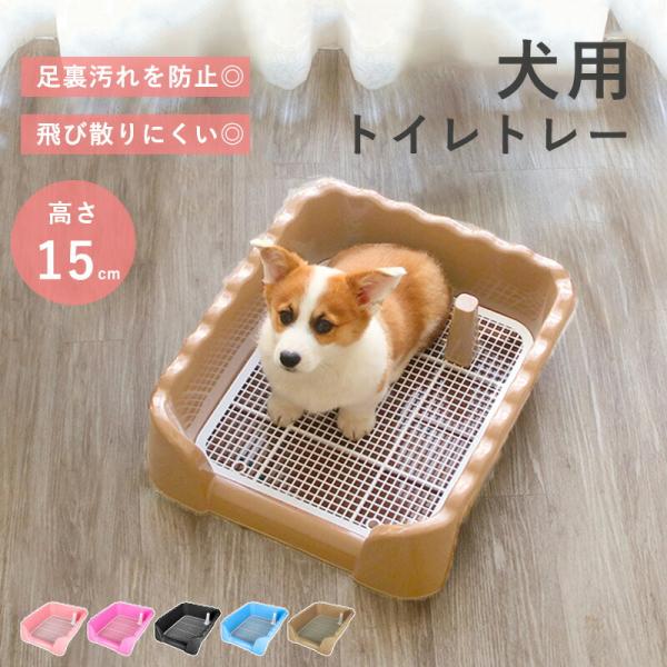 犬 トイレトレー 洗える ペットトイレ 犬用 しつけ 飛び散り防止 フチもれ防止 メッシュ付き 簡単取り替え いたずら防止 汚れ防止 小型中型犬 レギュラー ワイド