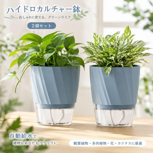 ハイドロカルチャー鉢 2個セット 水耕栽培 自動給水プランター 底面給水 給水ひも付き 観葉植物用 室内 インテリア 多肉植物 カクタス対応 シンプルデザイン