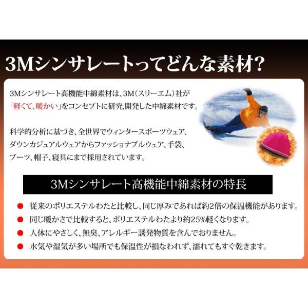 掛け布団 シンサレート インシュレーション シングルサイズ 150 210cm 防ダニ 洗える Thinsulate Insulation 暖かさ 羽毛の約2倍 掛布団 S Buyee Buyee Japanese Proxy Service Buy From Japan Bot Online
