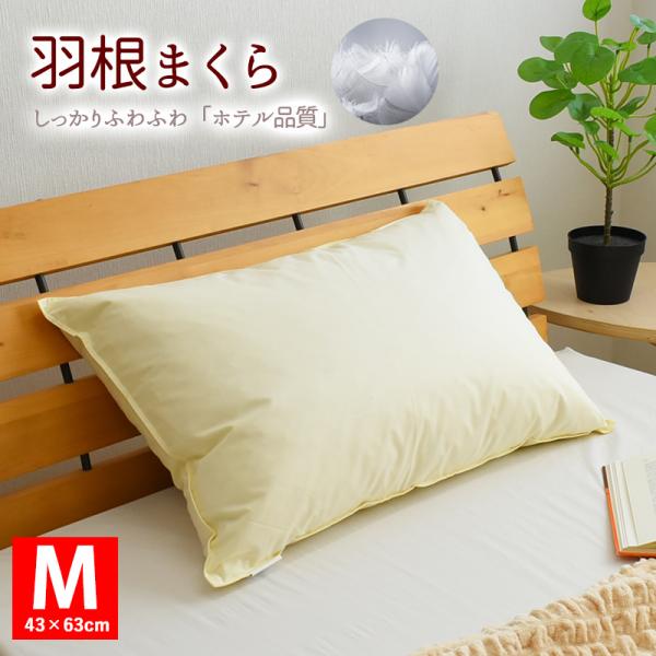 sleep-plus_10003110 sleep-plus_10003110