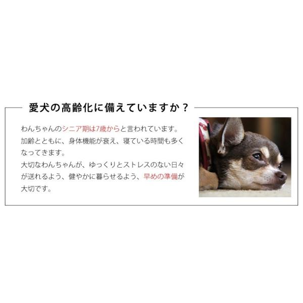 犬用ベッド Sサイズ 約47 66 4cm 小型犬用 ペットケアマット 老犬介護用 マット 床ずれ防止 ソフトレザーカバー付き 3dアレルair使用 Buyee Buyee 提供一站式最全面最專業現地yahoo Japan拍賣代bid代拍代購服務 Bot Online