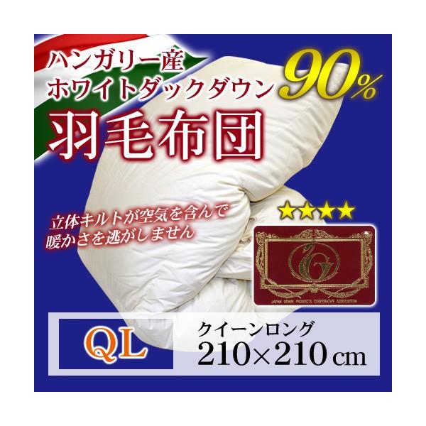 Hѕzc ̃Lg GNZS[hx NC[O 210×210cm zCg_bN_E90 |[hY