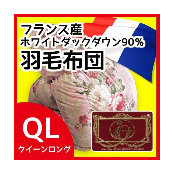 Hѕzc ̃Lg GNZS[hx NC[O 210×210cm zCg_bN_E90i453jtXY