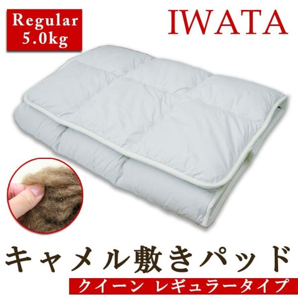 ~zc ~pbh C^ L ~zc NC[ 160×200cm M[^Cv { iwata c Lzc Lpbg QԂ h_j