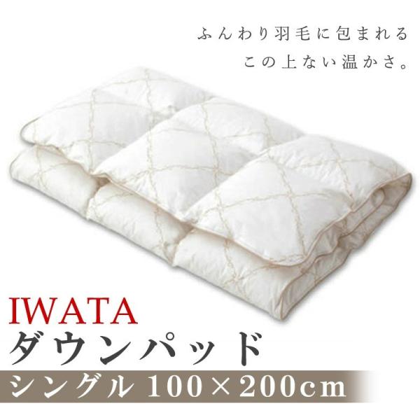 C^ _Epbh^Hѕ~pbh@VOTCY100×200cm }XRr[_bN_Egp ₦  _E HѐQ iwata c H ~pbh