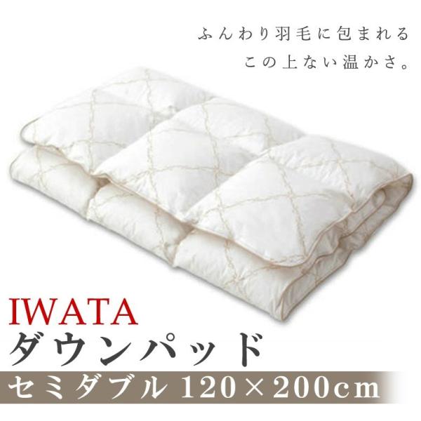 C^ _Epbh^Hѕ~pbh@Z~_uTCY 120×200cm }XRr[_bN_Egp ₦  _E HѐQ iwata H ~pbh