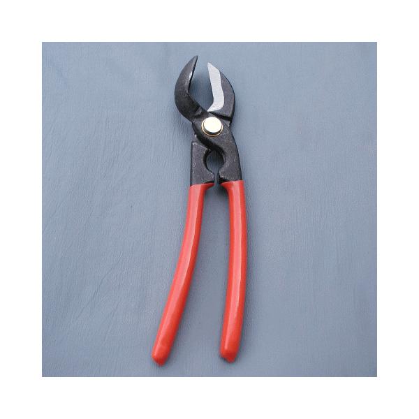 S@SN~iȂ񊄌pj0546-2401