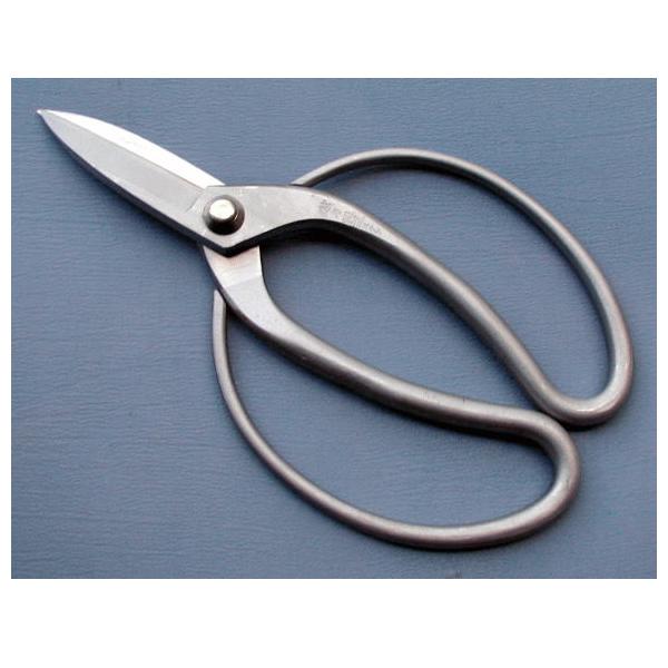 zTO@XeX@nv200mm@No.1002