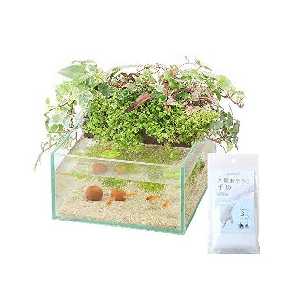 アクアテリア N190 メダカ用 ガラス水槽と水耕栽培プランター 水槽おそうじ手袋セット A B07gjhd387 1218 Slow Life 通販 Yahoo ショッピング