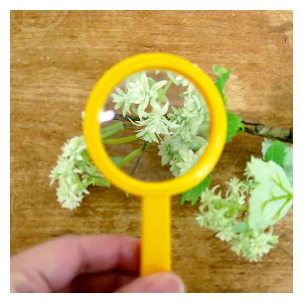 虫眼鏡 子供用 昆虫観察 虫めがね ルーペ おもちゃ 自由研究 夏休み キャンプ 観察 イタリア Navir ナヴィア 虫眼鏡おもちゃ メール便対象品 Buyee Buyee 日本の通販商品 オークションの代理入札 代理購入