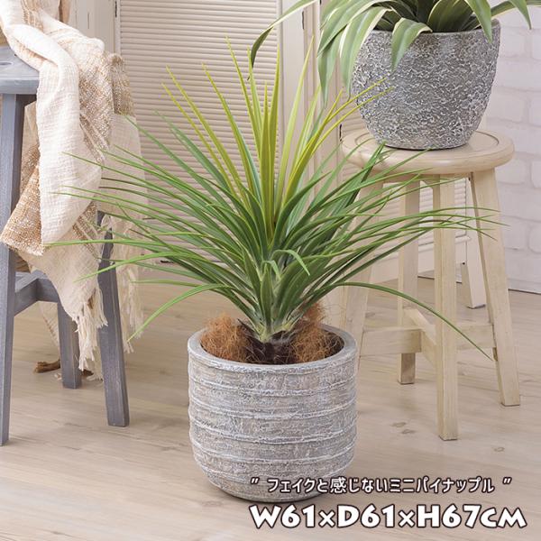 インダストリアル 観葉植物 造花 アーティフィシャルフラワーの人気商品 通販 価格比較 価格 Com