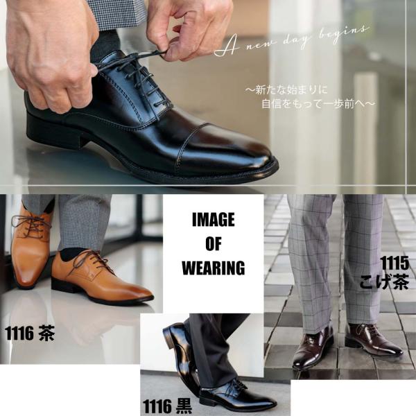 smake_1115-1119set_16_d_20231116112602