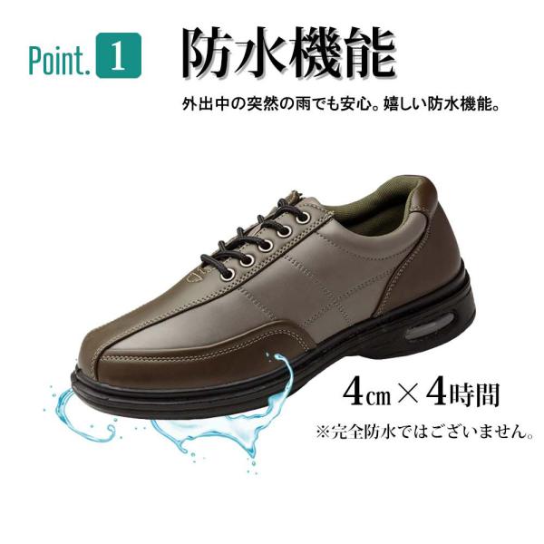 smake_2603_2_d_20231031180821