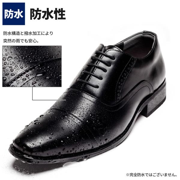 smake_set1601-04_2_d_20240415135124