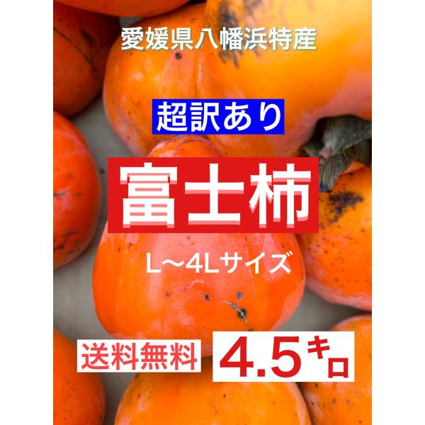 超訳あり！愛媛県八幡浜特産富士柿4.5キロ（渋は抜いています） キズ・スレ 訳あり・ご家庭用★やわらかい柿がお好きな方。