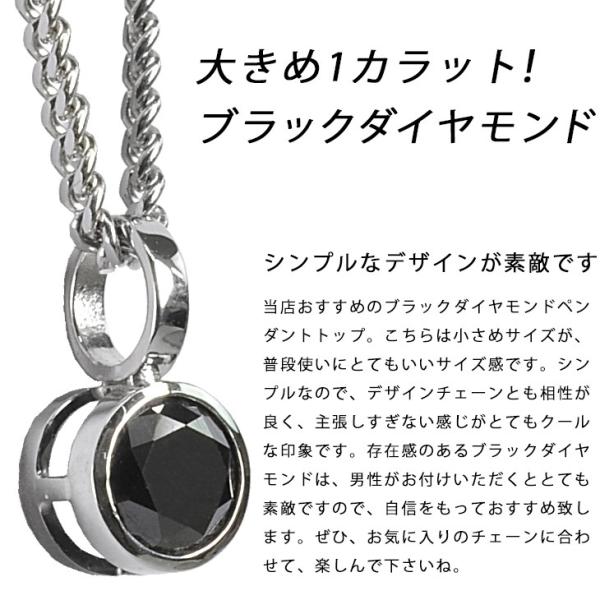 pt900 ブラックダイヤモンド　1ct ブラックダイヤモンド ピアス プラチナ レディース メンズ
