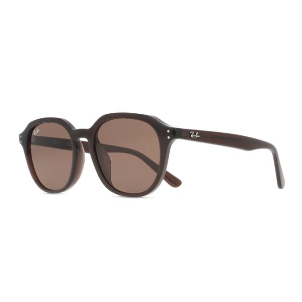 レイバン サングラス RB4459D アジアンフィット 623173 54 ユニセックス ウェイファーラー ブラウン UV 1 54mm レンズ幅 %100 本物