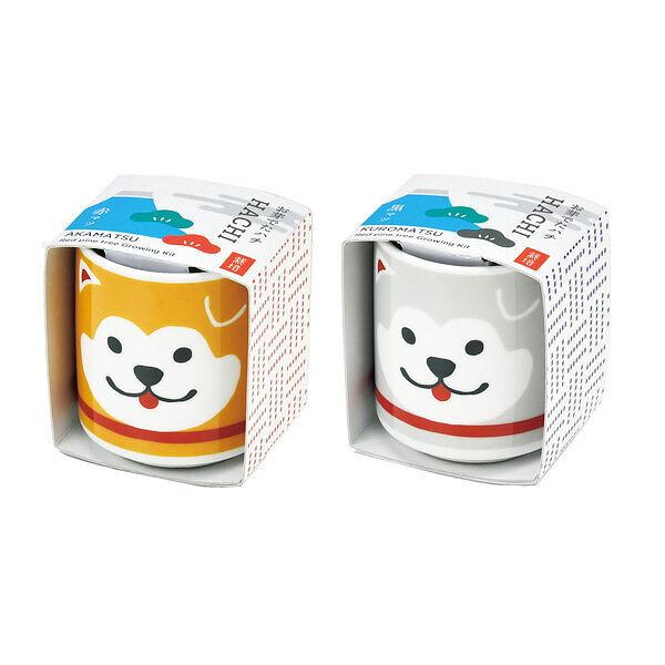 忠犬「ハチ公」のおちょこで縁起のよい赤松と黒松を育てます。帰らぬ主人を待ち続けた「ハチ公」に倣い、松が立派に生長するのを待ちましょう。サイズ : 約 Φ43 x H48 mm