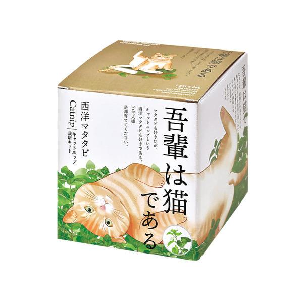 「西洋マタタビ（キャットニップ）」と呼ばれる猫が好むハーブを育てる栽培キット。不朽の名作「吾輩は猫である」をイメージしてゴロゴロとくつろぐ猫をデザインしました。付属の肉球シールでポットをアレンジできます。内容 : ハートポット, インナーポ...