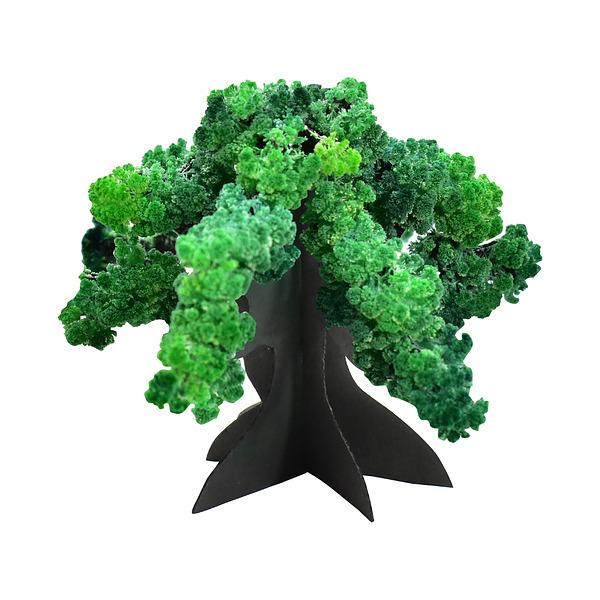 盆栽 BONSAI サイエンス オブジェ 結晶 和 日本
