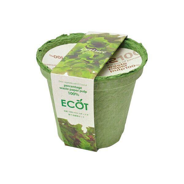 レタス栽培セットに入っている品種は、結球しないレタスで、葉の先がフリルのように美しく、観賞用としても一度は育ててみたい野菜です。種まき後60日くらいから収穫でき、家庭菜園に最適です。古紙率100％の国産リサイクルポットで野菜を育てよう！この...