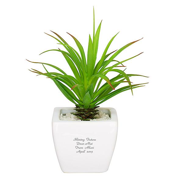 お手入れ簡単な造花の観葉植物。かわいらしい姿で人気の多肉植物は空間にオシャレな雰囲気を加えてくれます。また、CT触媒のコーティング加工が施されているので、置いておくだけでお部屋の空気をきれいにしてくれる嬉しい機能つき。両手に収まる小ぶりな鉢...