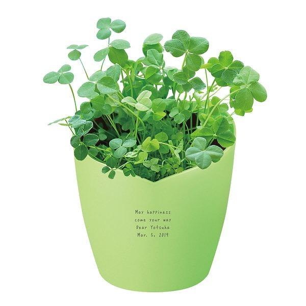 種から育てるクローバーの栽培キットです。セットされている種は高確率で四つ葉のクローバーがでるように交配された特別なもの。きっと見つかるワクワク感、育てる楽しさを贈ることができます。ハート形のポットにご希望のメッセージが入ります。文字のカラー...