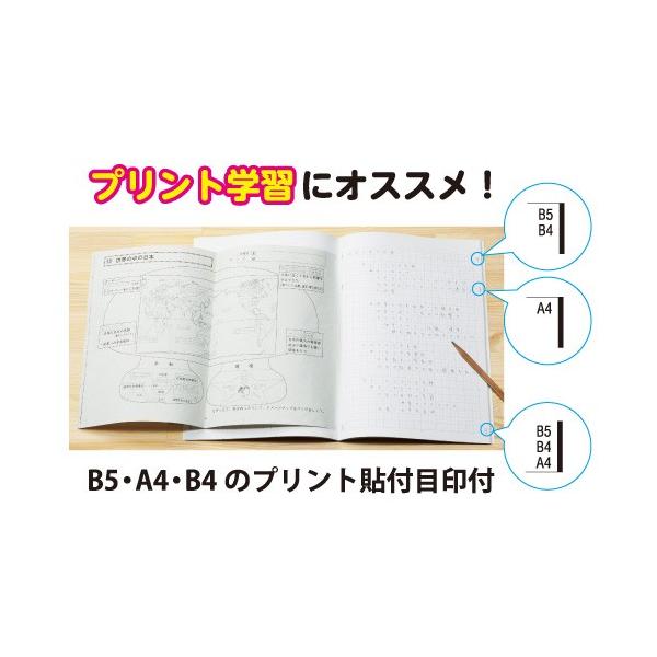 キョクトウ カレッジアニマル学習帳 5mm方眼ノート 算数 Lpa2 T0 極東 Kyokutou Buyee 日本代购平台 产品购物网站大全 Buyee一站式代购 Bot Online